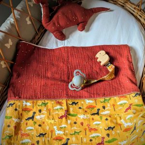 Couverture "dinosaures"